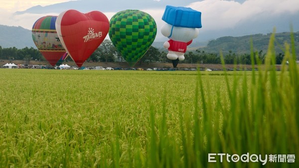 台灣國際熱氣球嘉年華活動前三天於鹿野高台舉辦「坐熱氣球吃紅藜米乖乖」活動，每天活動前100名乘坐的旅客，可免費獲得紅藜米乖乖。（圖／台東縣政府提供）