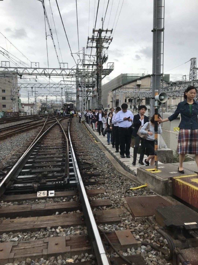 ▲▼（圖／翻攝日本小智微博）