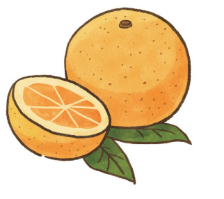 ▲毛起來配圖。