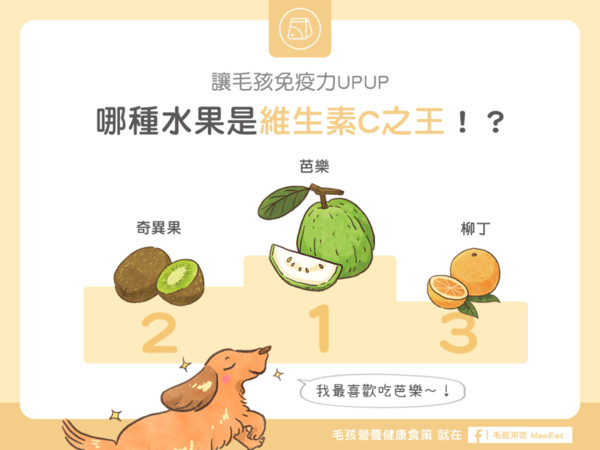 ▲毛起來配圖。