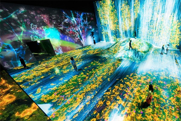 ▲▼teamLab東京台場美術館。（圖／翻攝自teamLab Borderless / チームラボボーダレス官網）