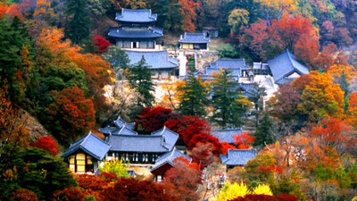 「世界文化遺產」名單出爐！南韓七大古剎入選　朝鮮佛教文化之美
