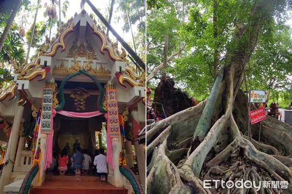 ▲▼飛泰國拜拜！台灣勇哥猛拍照「鬼影緊跟身後」　當地人提醒：祂來了。（圖／張姓網友提供，請勿隨意翻拍，以免侵權。）