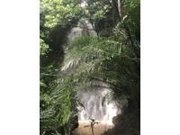 在地居民黃小姐表示：「小時候爸爸在多日的雨後，會帶著我們去柴山瀑布避暑戲水，真是回憶無窮」。
