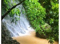 ▲▼傳說中的高雄柴山瀑布因大雨再現。（圖／記者宋德威攝，下同）