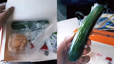 影／傻眼飛機餐附「整條包膜小黃瓜」　乘客：想吃得優雅太難！