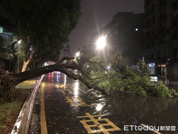 ▲▼瑪麗亞颱風發威，建國高架橋轎車翻覆，重慶北路路樹倒塌。（圖／記者趙永博攝）