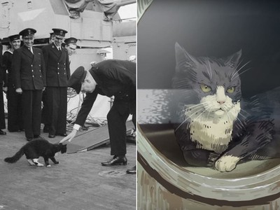 「貓艦員」被海軍當吉祥物　搭過5戰艦全沉！水手嚇：你乖乖看家就好