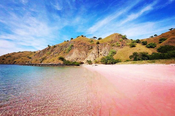 ▲印尼夢幻粉色沙灘（圖／翻攝自effendykusuma90 IG）