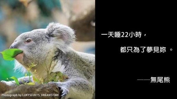 ▲▼趕上古人撩妹潮！5動物「賀爾蒙金句」猛發　網友創意更神。（圖／翻攝《國家地理頻道》粉專）