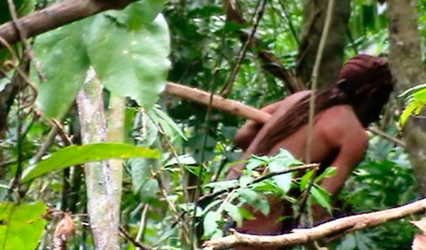 ▲▼亞馬遜雨林中有位年約50多歲的半裸男子用斧頭砍樹，被稱為「洞中土著」的他據信已在叢林單獨生活22年。（圖／取自Funai新聞稿）