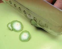 ▲▼《這才是釀造醋》書摘圖。(圖/幸福文化提供)