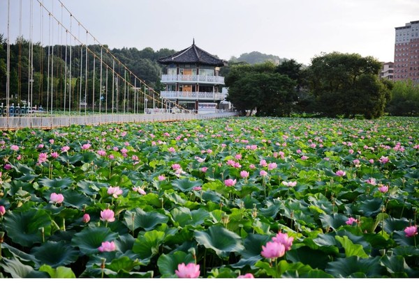 ▲▼全州市德津公園（圖／全州市政府提供）