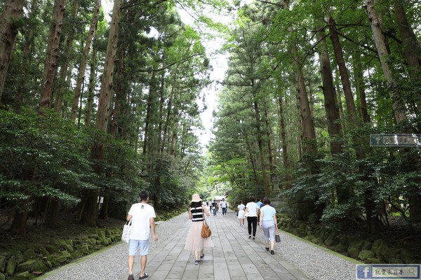 ▲▼日本新瀉彌彥神社。（圖／右上45度角女生提供）