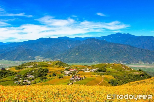 ▲「旦茶六十」活動除了可在翠綠山谷裡品茶、賞花，遊程還搭配小農特色產業，包含客家菜包DIY、果園採果行程及客家五行湯圓DIY，活動內容相當超值。（圖／縱管處提供，下同）