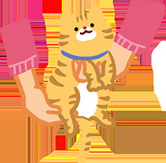 怎么抱猫咪它才会舒服 3439504.jpg