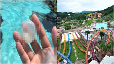 愛寶樂園泳池驚見「疑似男性精華液」　韓客po網爆料竟是大烏龍