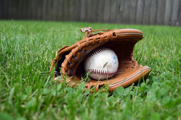 ▲▼棒球,手套,球,投接球,草地,運動。（圖／翻攝自pixabay）