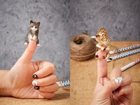 為Animal Life獻上「Baby Hug愛抱抱」系列，同樣以可愛、療癒風格掀起巨大話題。