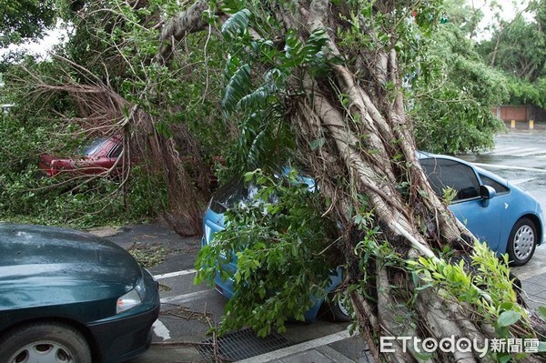 ▲蘇迪勒颱風預估造成雙北地區就有超過五百輛車受損。（圖／記者季相儒攝，以下同）