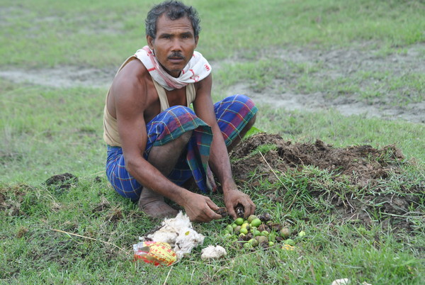 ▲▼印度男亞達夫(Jadav Payeng)過去近40年來，每天堅持種樹，最後成功種出一片森林。（圖／達志影像／美聯社）