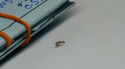 ▲▼螞蟻偷鑽石被發現。（圖／翻攝自YouTube）