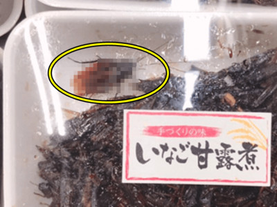 超市「蝗蟲甘露煮」送大強！日人噁到崩潰..可牠們都是蟲啊