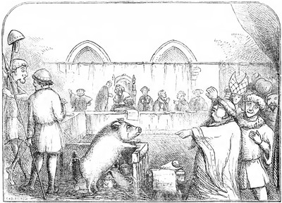 嫌老鼠太髒告上法庭　中世紀「動物審判」　竟還有律師幫辯護！