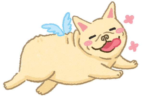 ▲毛起來配圖。