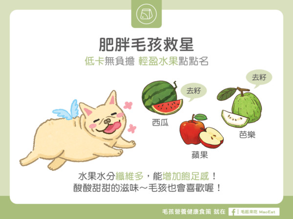 ▲毛起來配圖。