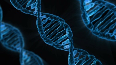首批「基因靜默藥物」批准！使病變RNA無力化　減緩遺傳症狀