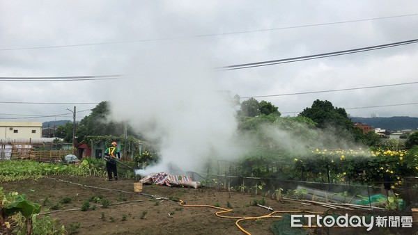 新北市登革熱菜園。（圖／記者趙于婷攝）