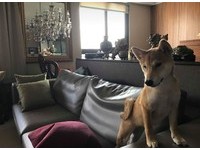 「我在吃午餐，想說牠怎麼一直叫，以為看到阿飄...我真的會怕捏。」