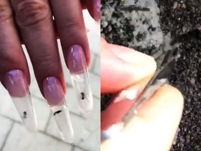 「指尖上的捕蟲罐」　俄美甲店病態活捉螞蟻，硬塞甲片再封膠