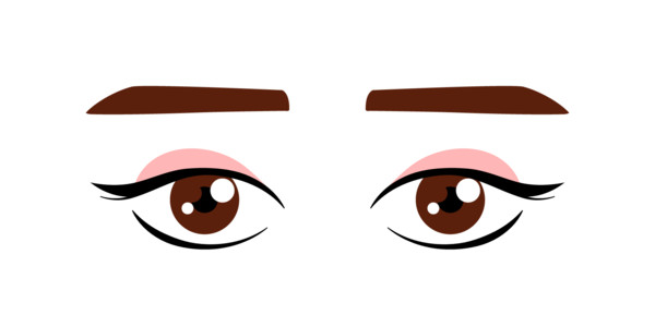 ▲眉型。(製圖/《ETtoday健康雲》)