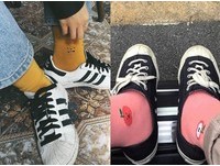 ▲。（圖／翻攝自stickymonsterlab、Socks Appeal粉專）