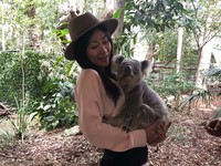 ▲龍柏動物園,無尾熊,lonepinezoo。（圖／記者陳涵茵攝）