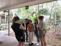 ▲龍柏動物園,無尾熊,lonepinezoo。（圖／記者陳涵茵攝）