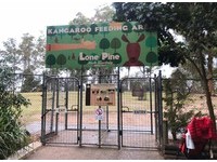 ▲龍柏動物園,澳洲旅遊,lonepinezoo。（圖／記者陳涵茵攝）