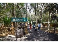 ▲龍柏動物園,澳洲旅遊,lonepinezoo。（圖／記者陳涵茵攝）