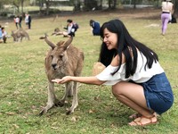 ▲龍柏動物園,澳洲旅遊,lonepinezoo。（圖／記者陳涵茵攝）