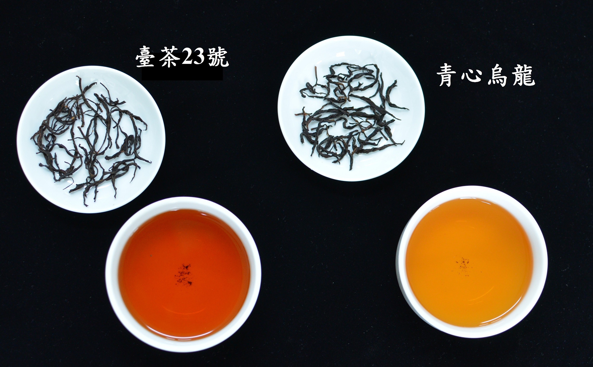 ▲▼適製紅茶茶樹新品種台茶23號。（圖／農委會提供）