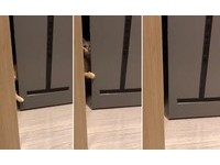 ▲小橘妹「奶酥」。（圖／Instagram帳號「naisu_1122」授權）