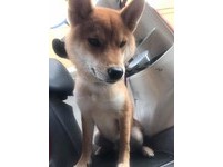 king醬：媽妳要不要考慮換台瞎趴的車？