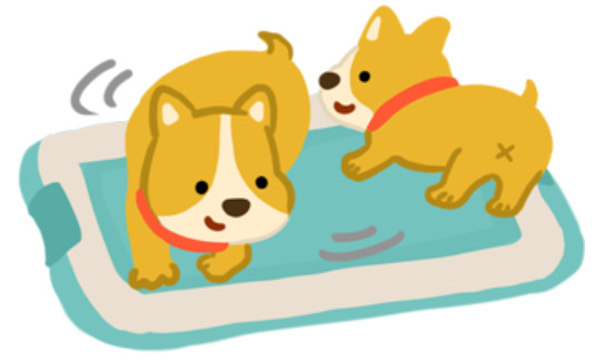 ▲毛起來配圖。(圖/記者曹悅華攝)