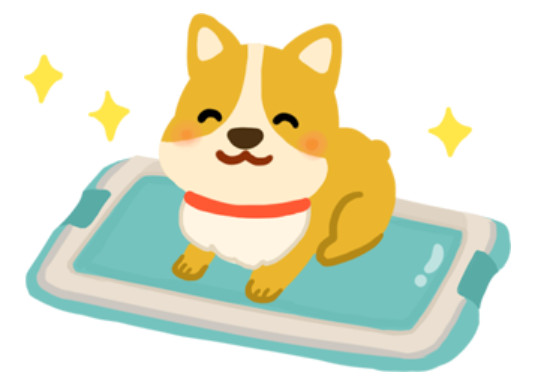 ▲毛起來配圖。(圖/記者曹悅華攝)