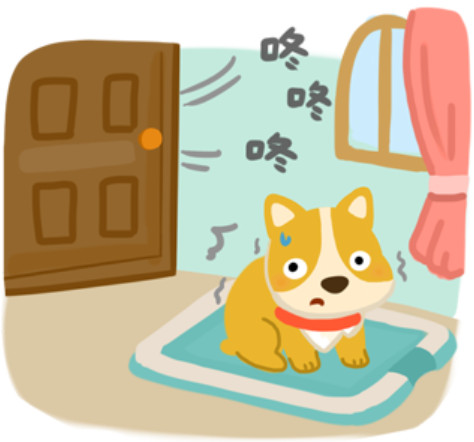 ▲毛起來配圖。(圖/記者曹悅華攝)