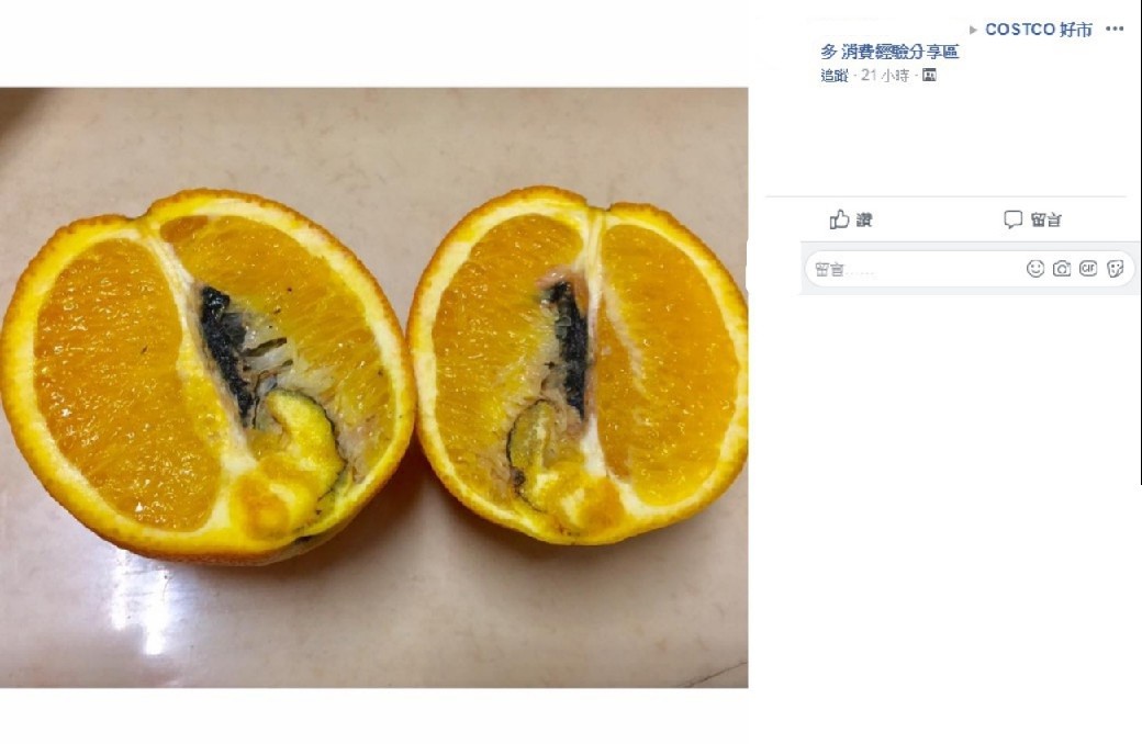 ▲▼ 好市多澳洲甜橙。(圖/翻攝好市多消費經驗分享區)