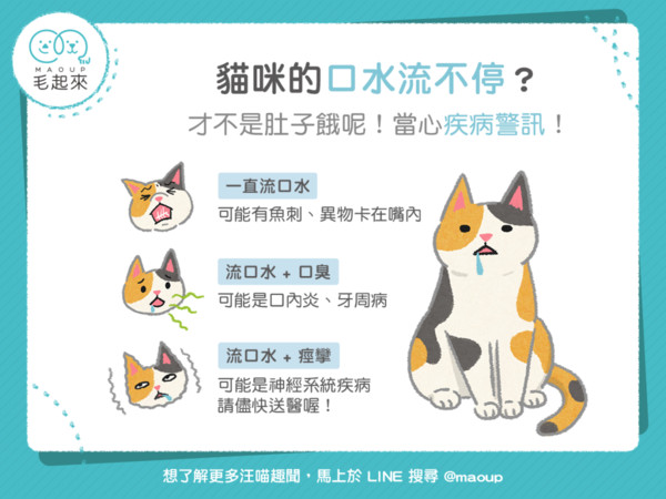 ▲毛起來配圖。