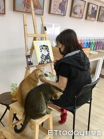 香港畫家畫貓咪。（圖／飼主Roy Cheng提供）
